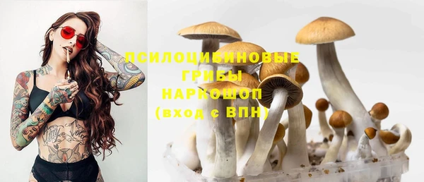 кристаллы Инта