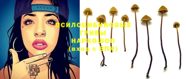 наркотики Инсар