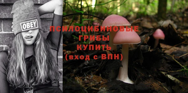 кристаллы Инта