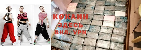 jwh Тайга