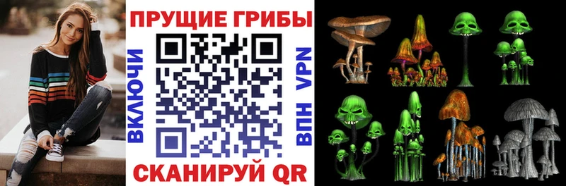 Псилоцибиновые грибы GOLDEN TEACHER Новоузенск
